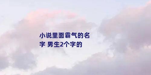 小说里面霸气的名字 男生2个字的